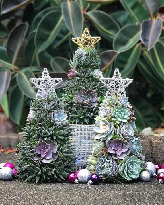 🎄 Succulent Tree Decoration🎁Handmade Surprise gift