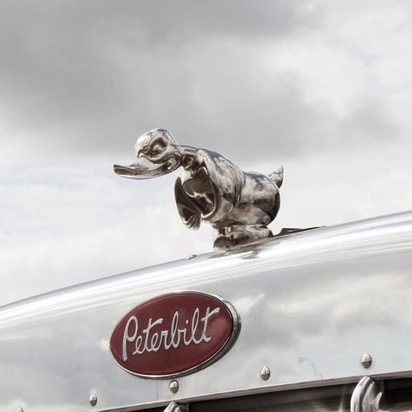 ๐ Angry Duck Hood Ornament Death Proof(No hole punching required)