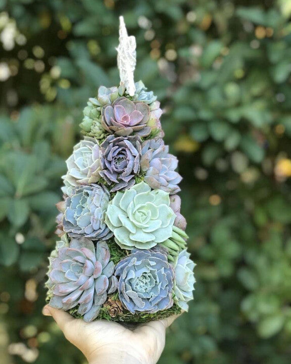 🎄 Succulent Tree Decoration🎁Handmade Surprise gift