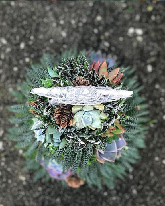 🎄 Succulent Tree Decoration🎁Handmade Surprise gift
