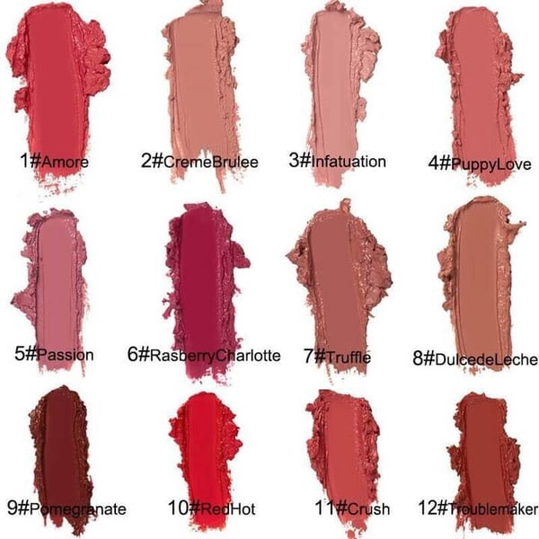 12 Color Long Lasting Moist Lip Gloss Plumper Liquid Lipstick