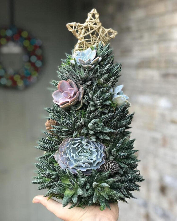 🎄 Succulent Tree Decoration🎁Handmade Surprise gift