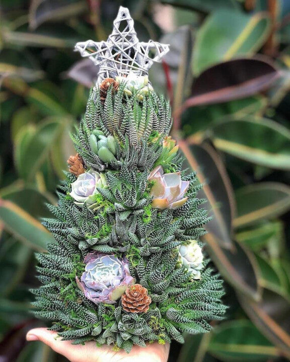 🎄 Succulent Tree Decoration🎁Handmade Surprise gift