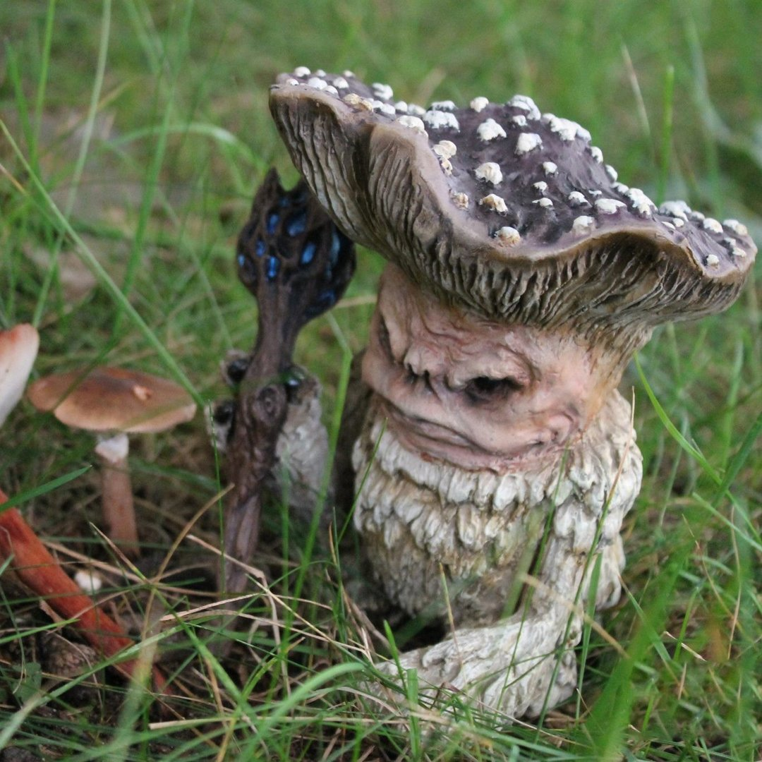 MUSHROOM SHAMAN