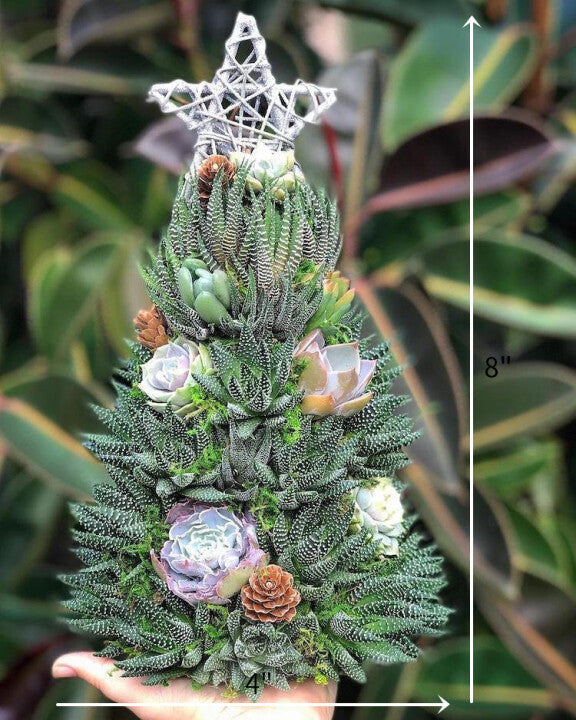 🎄 Succulent Tree Decoration🎁Handmade Surprise gift