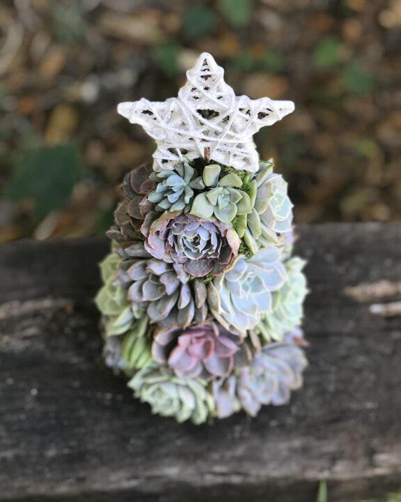 🎄 Succulent Tree Decoration🎁Handmade Surprise gift