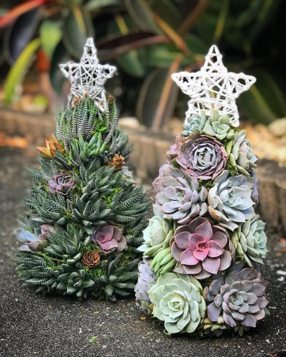 🎄 Succulent Tree Decoration🎁Handmade Surprise gift