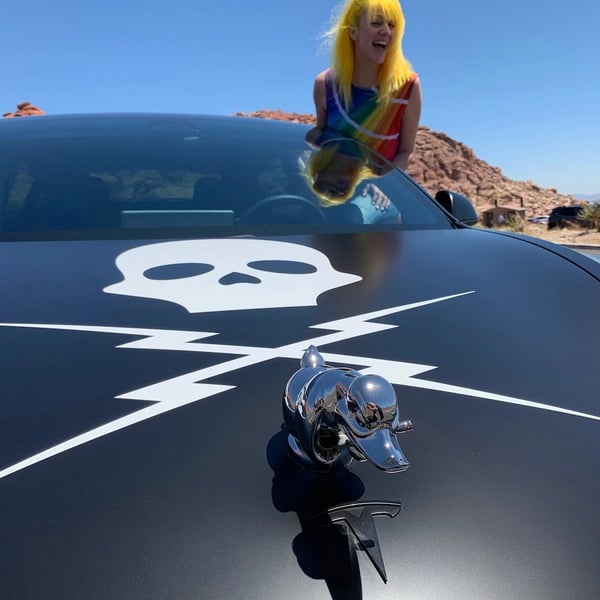🎄 Angry Duck Hood Ornament Death Proof(No hole punching required)