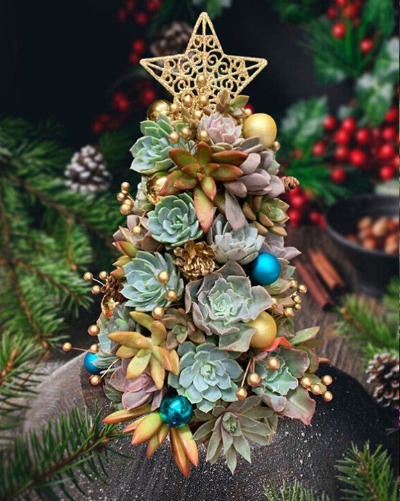 🎄 Succulent Tree Decoration🎁Handmade Surprise gift