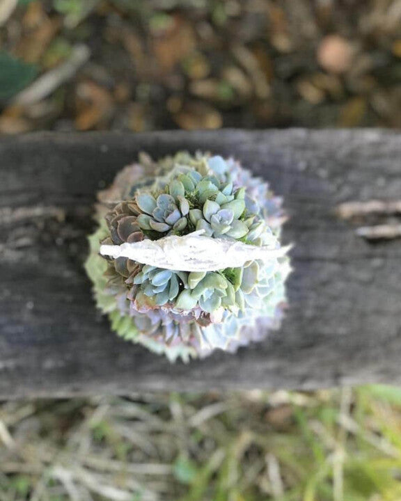 🎄 Succulent Tree Decoration🎁Handmade Surprise gift