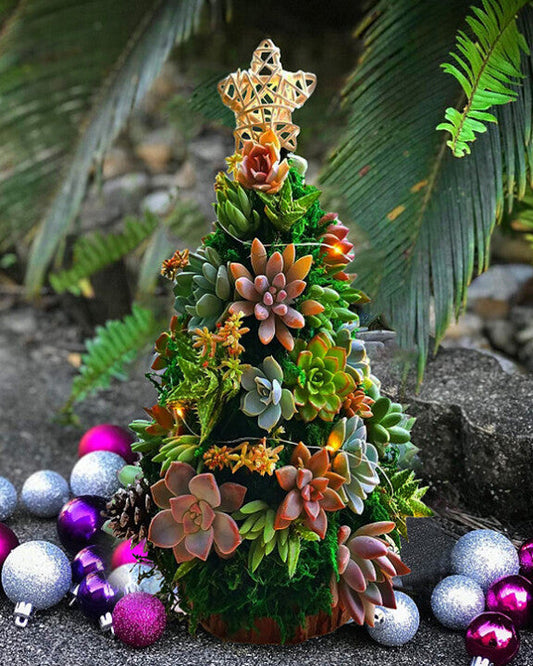 🎄 Succulent Tree Decoration🎁Handmade Surprise gift